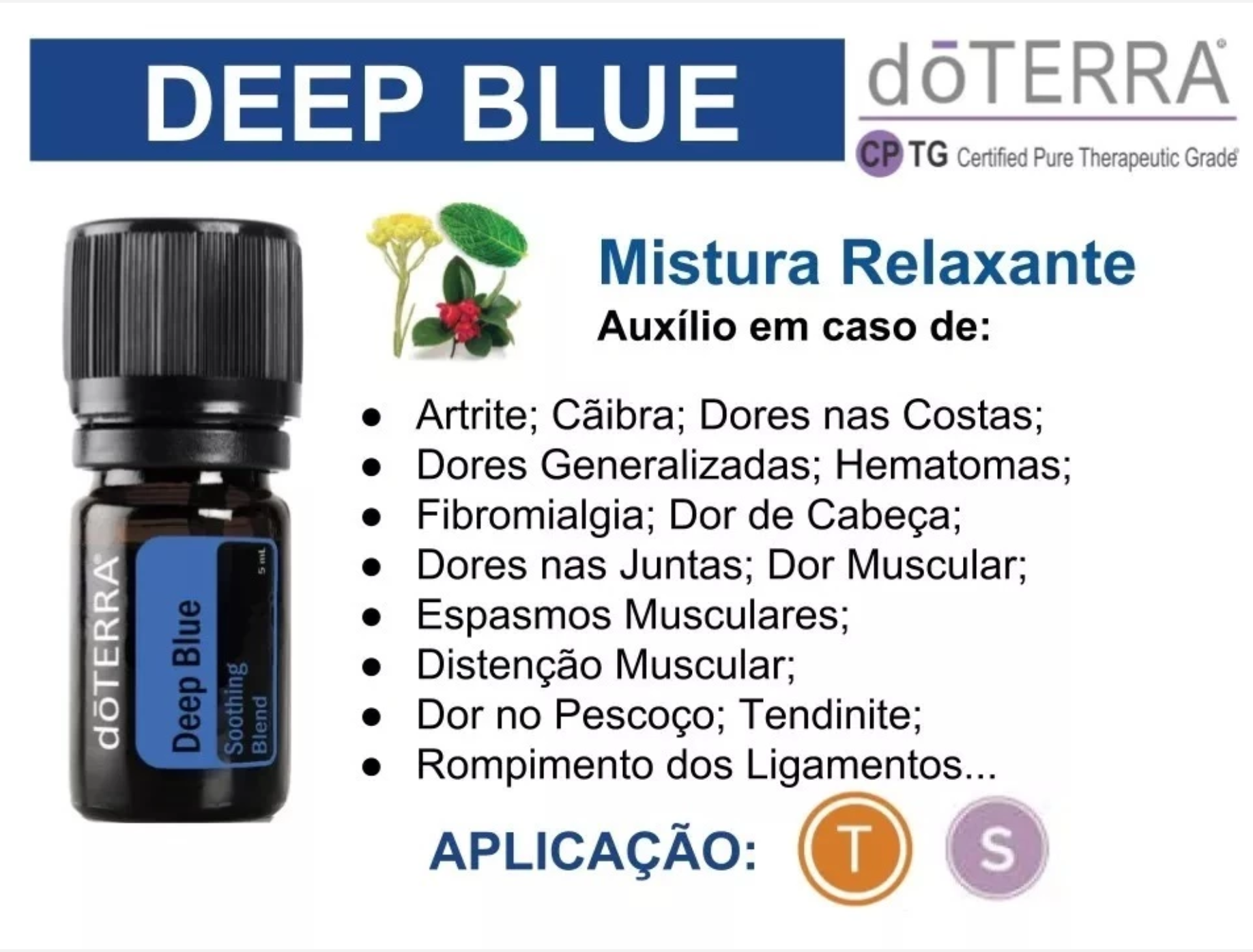 Óleos essenciais no dia a dia: vivendo com saúde – Gotas daTerra